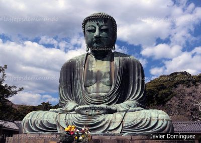 Buda