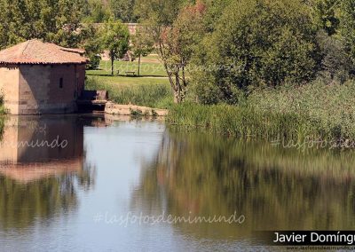 Reflejos de agua