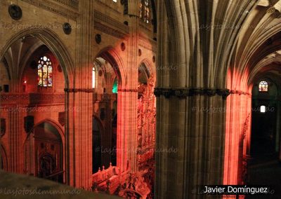 Luces en la catedral