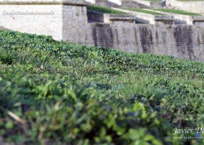 muralla