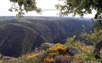 Arribes del Duero, Paraíso Natural