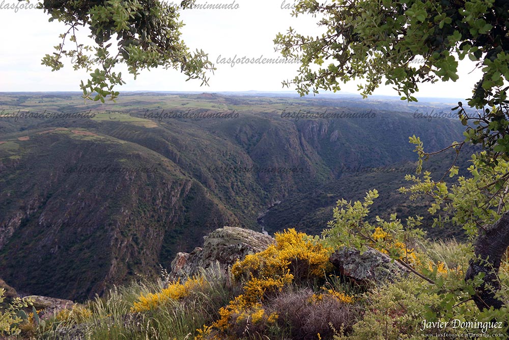 Arribes del Duero, Paraíso Natural