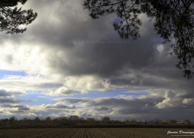 entre pinares 2