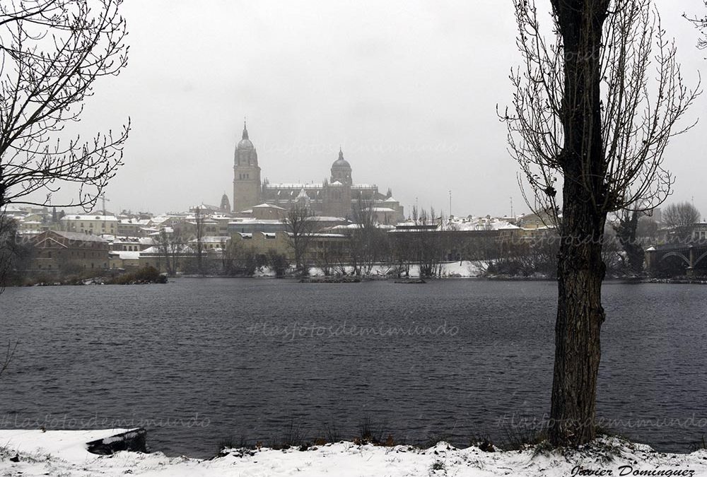 Salamanca se viste de novia.