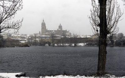 Salamanca se viste de novia.