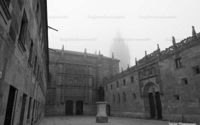 Salamanca bajo un manto de niebla