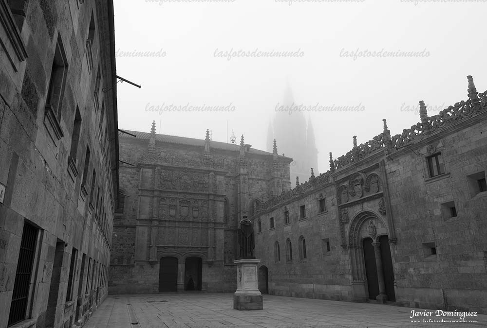 Salamanca bajo un manto de niebla